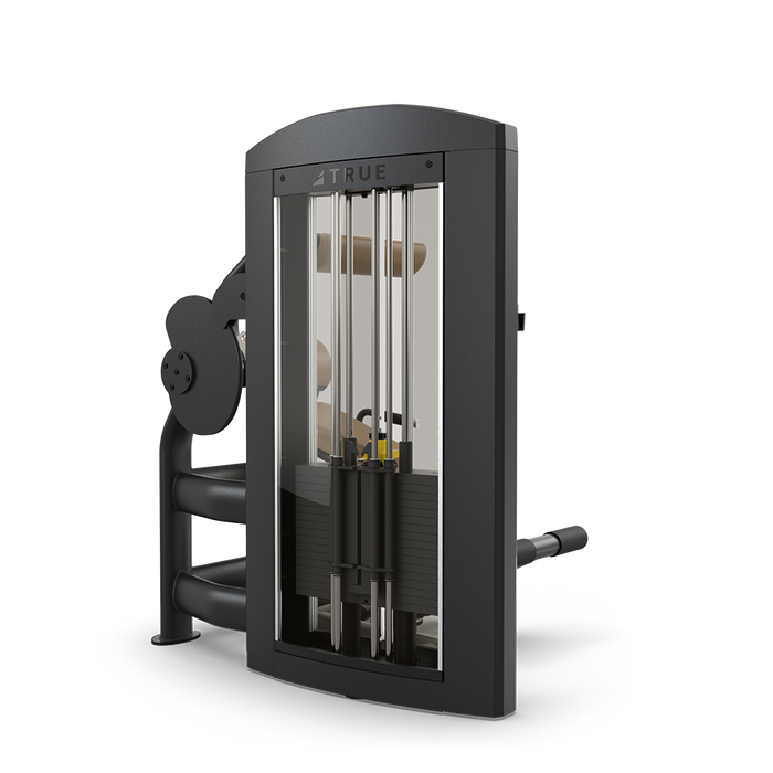 True Fitness Palladium Low Back Extension