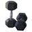 25kg Rubber Hex Dumbell