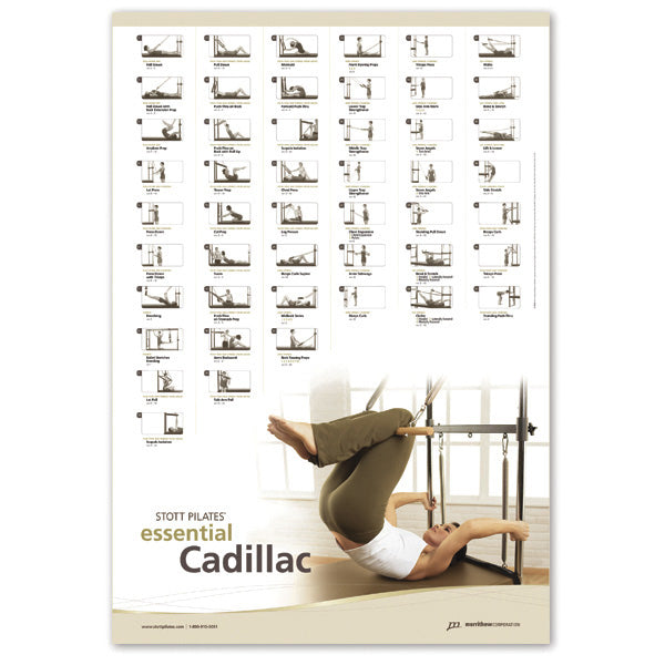 Wall Chart- Essential Cadillac