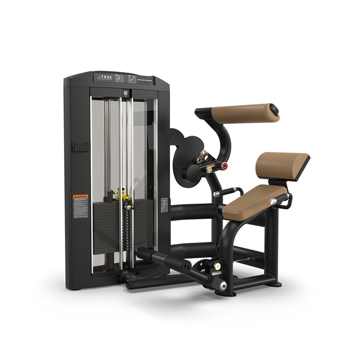 True Fitness Palladium Low Back Extension