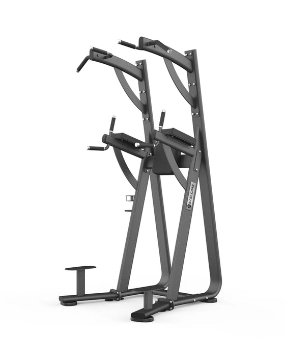 Skelcore Black Chin Dip / Leg Raise Station
