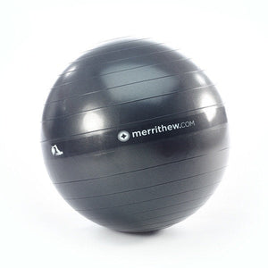 Stability Ball 55cm, HALO (Gray)