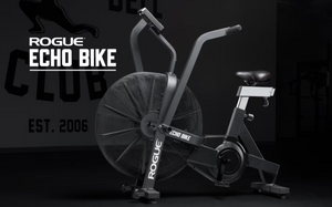 Rogue Echo Bike