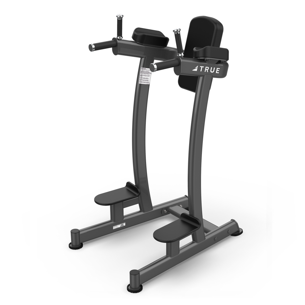 True Fitness XFW Vertical Knee Raise/Dip Charcoal