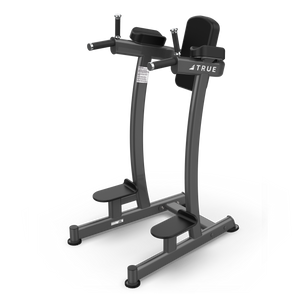 True Fitness XFW Vertical Knee Raise/Dip Charcoal