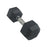 Torque Dumbbell, Rubber Hexagon - 30 Lb/13.6 Kg