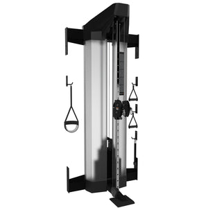 Torque 4 Ft (1.2 M) Cable Component Light Module